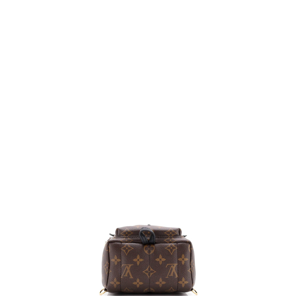 Palm Springs Backpack Monogram Canvas Mini
