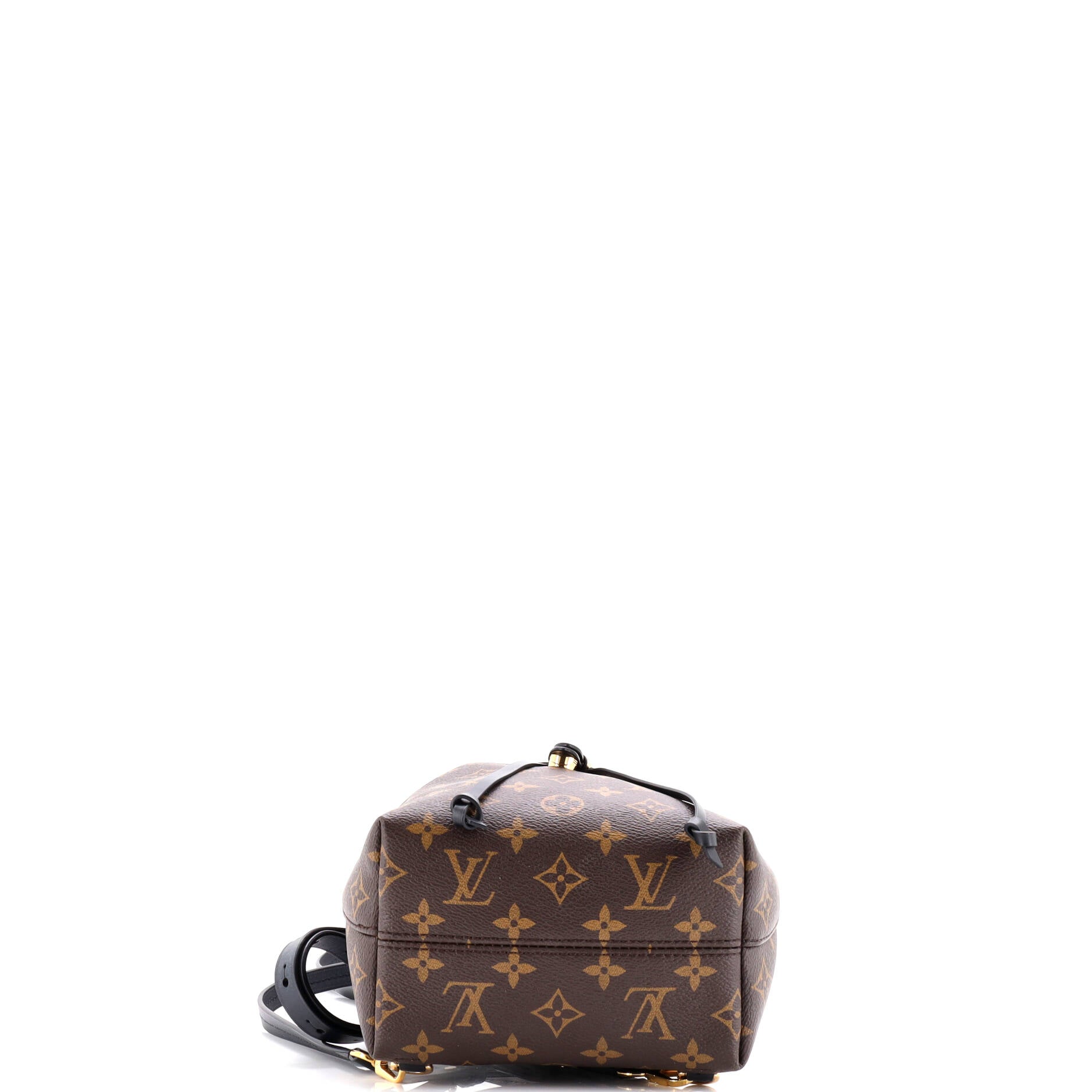Montsouris NM Backpack Monogram Canvas with Leather BB