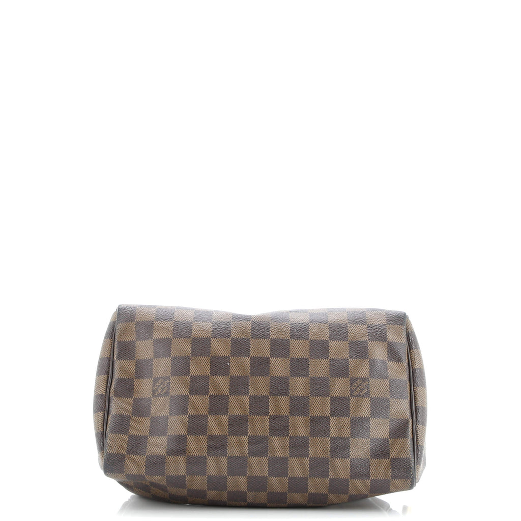 Speedy Handbag Damier 25