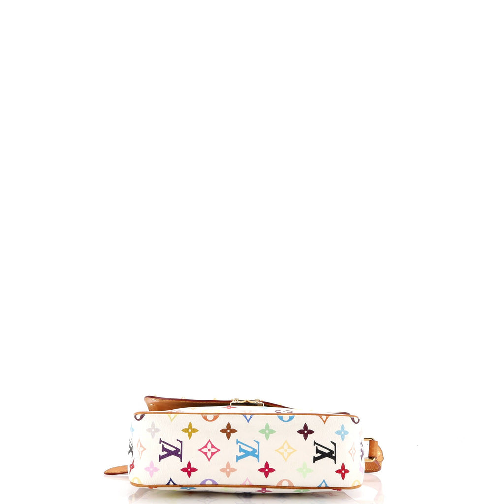 Sologne Handbag Monogram Multicolor