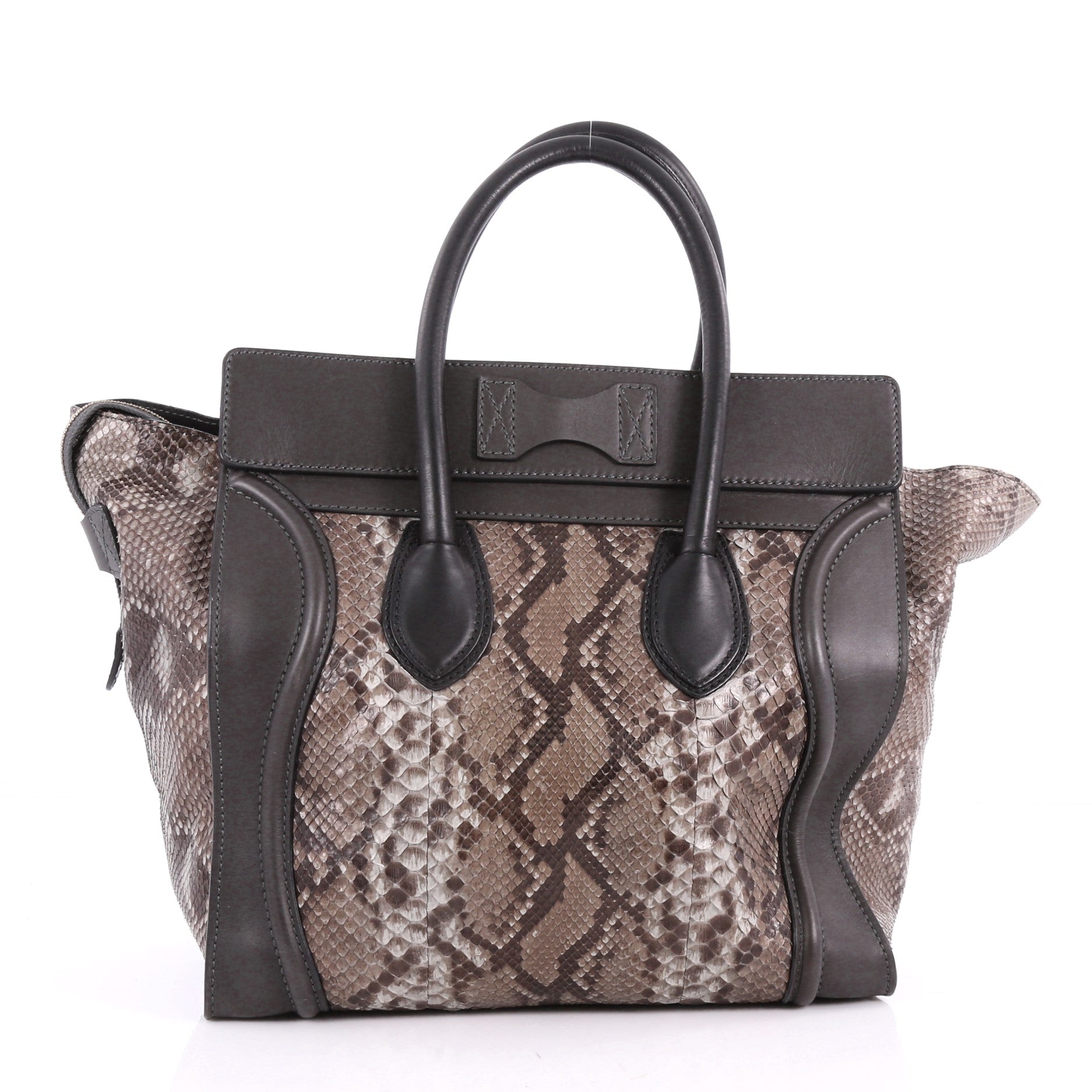 Luggage Handbag Python Mini