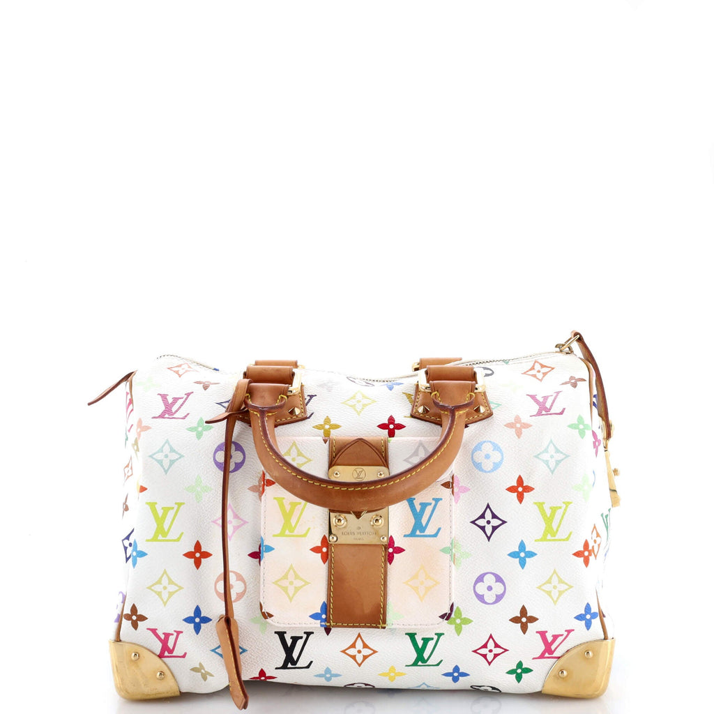 Speedy Handbag Monogram Multicolor 30
