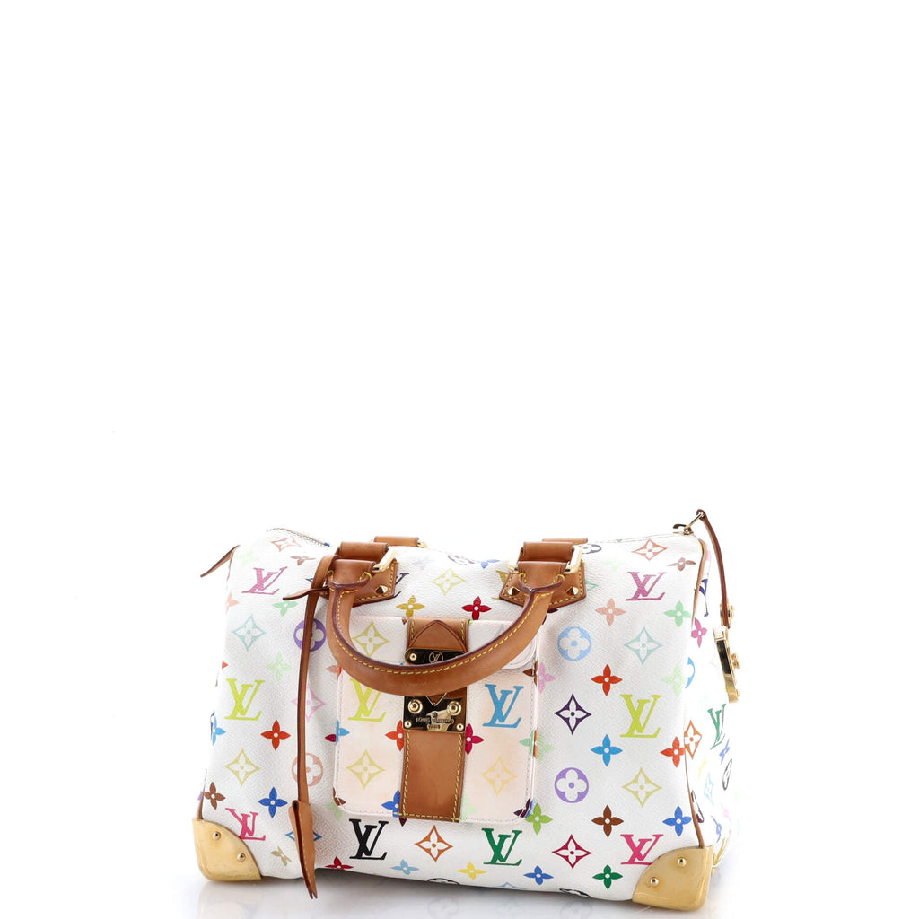 Speedy Handbag Monogram Multicolor 30