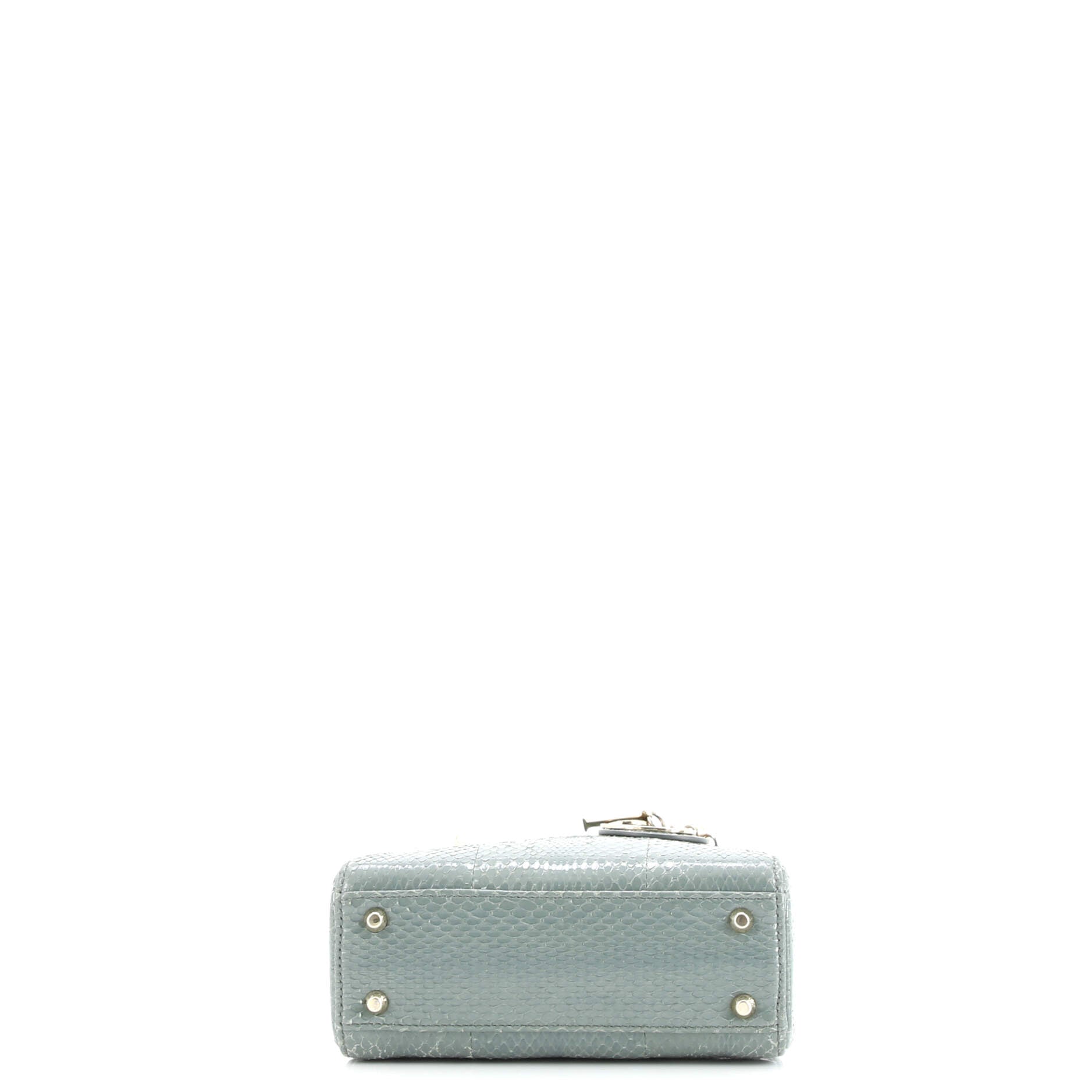 Lady Dior Chain Bag Python Mini