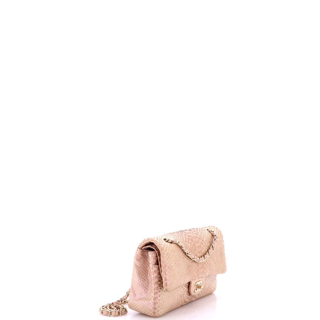 Classic Double Flap Bag Python Medium