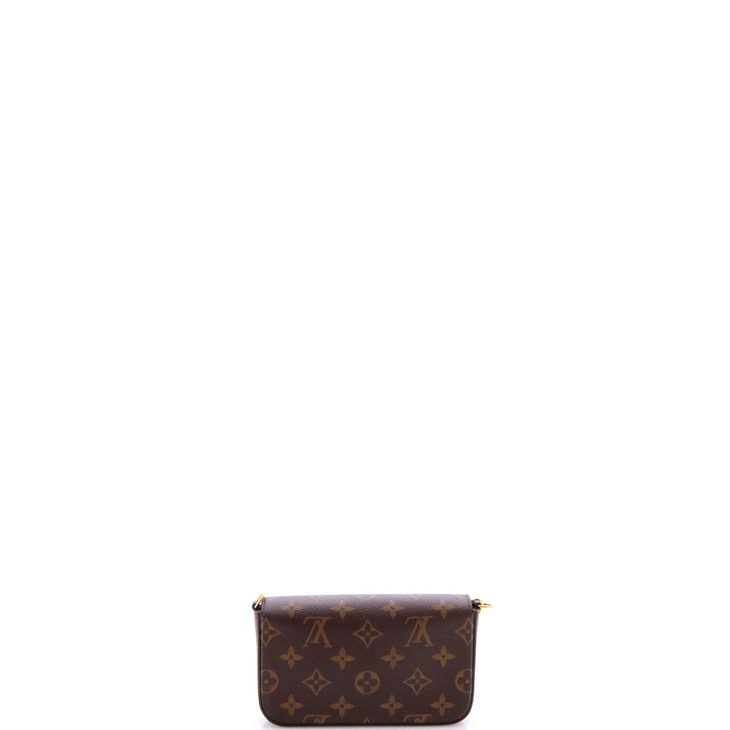 Felicie Strap & Go Handbag Monogram Canvas