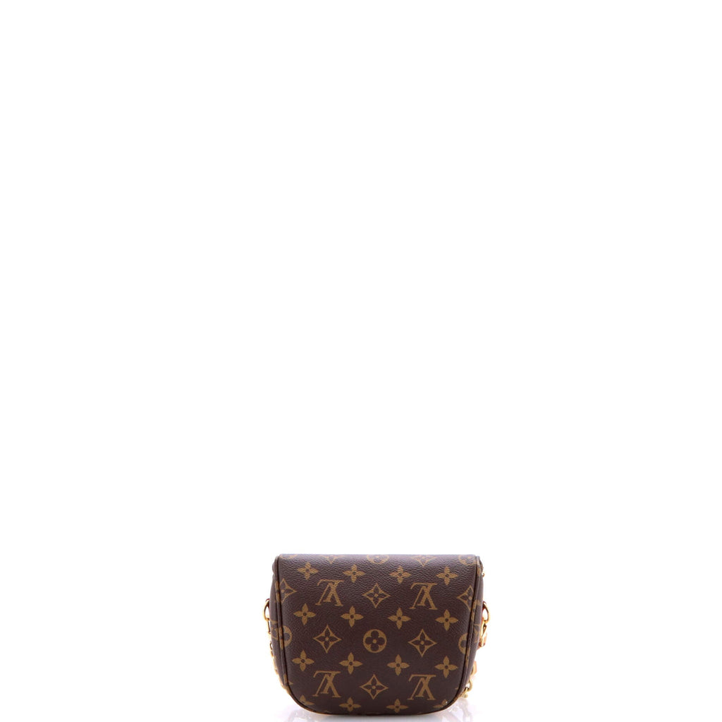 Bum Bag Monogram Canvas Mini