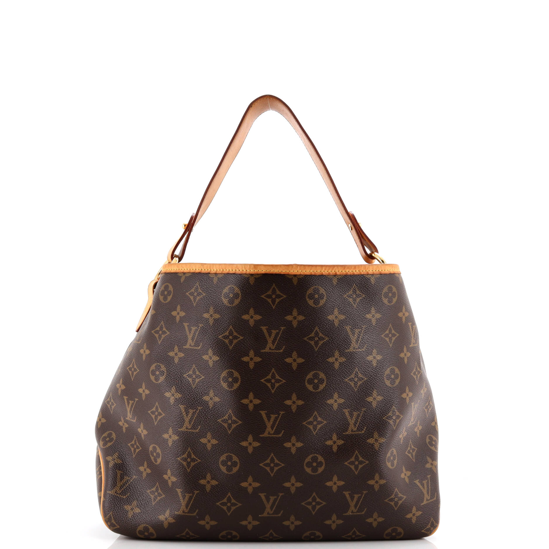 Delightful Handbag Monogram Canvas PM