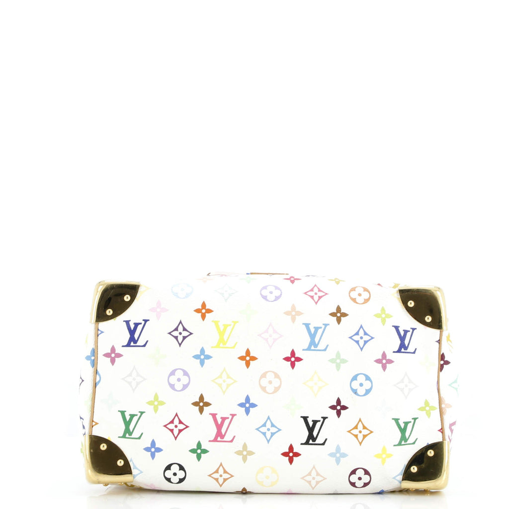 Speedy Handbag Monogram Multicolor 30
