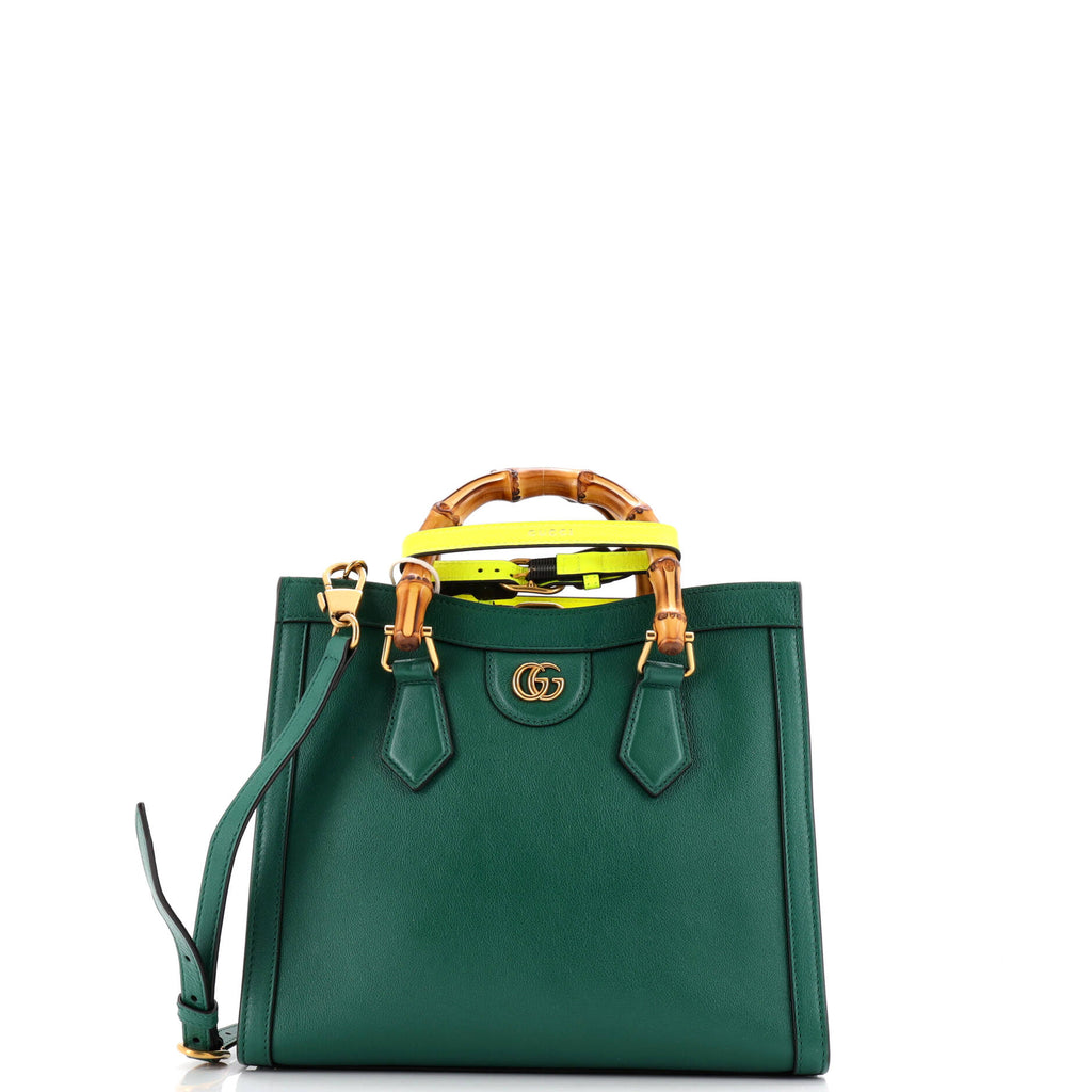 Diana NM Bamboo Handle Tote Leather Small