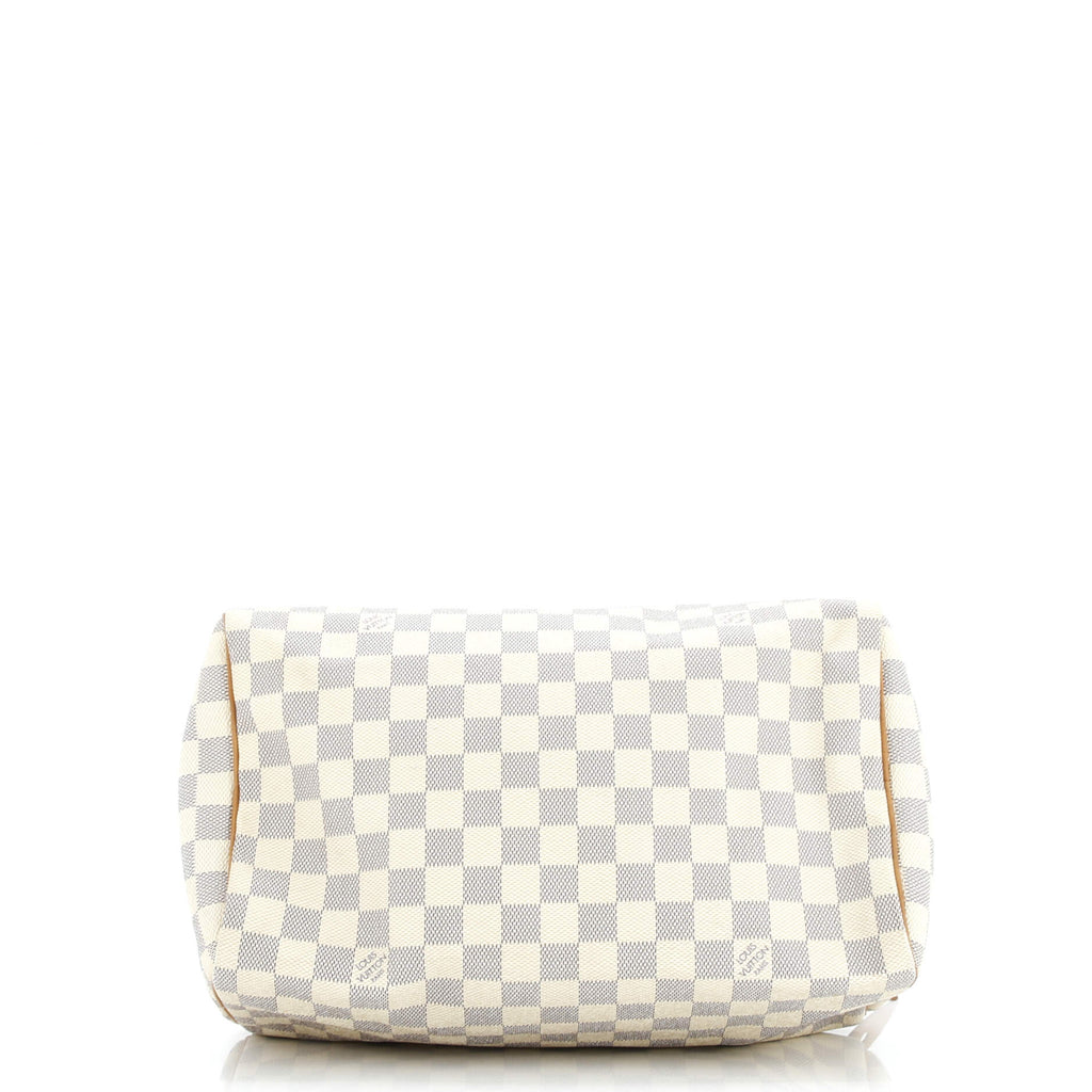 Speedy Handbag Damier 30