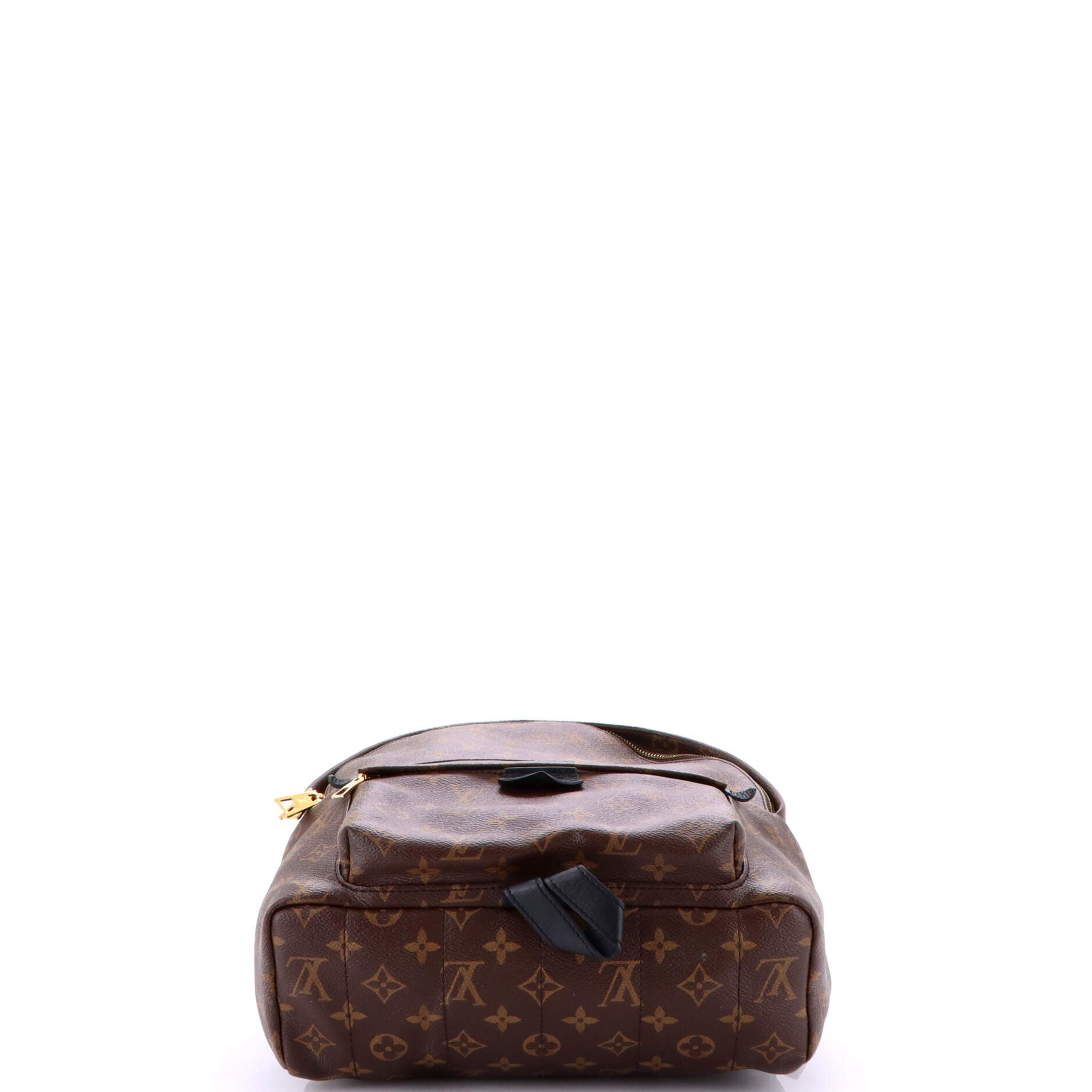 Palm Springs Backpack Monogram Canvas MM