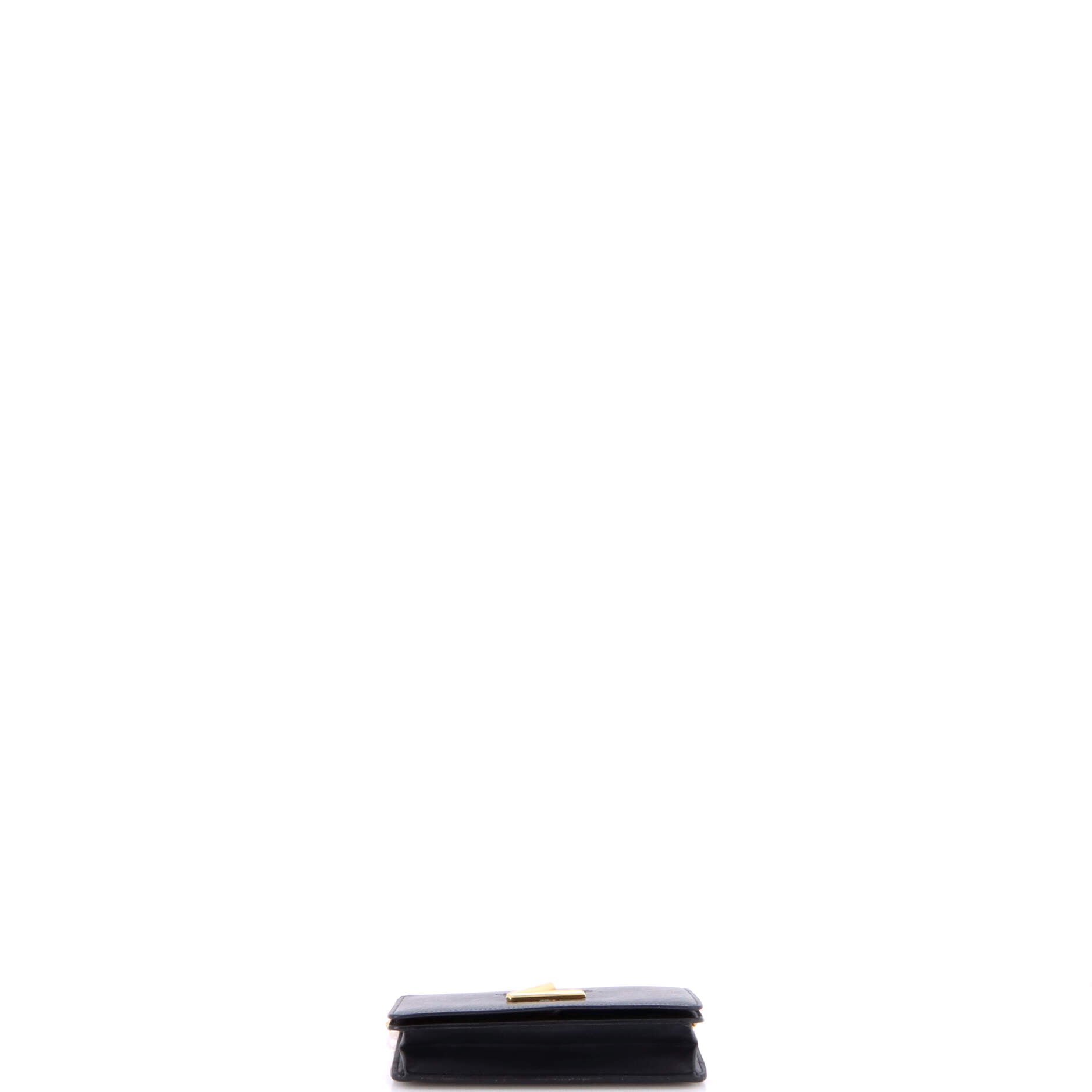 Twist Belt Wallet on Chain Epi Leather