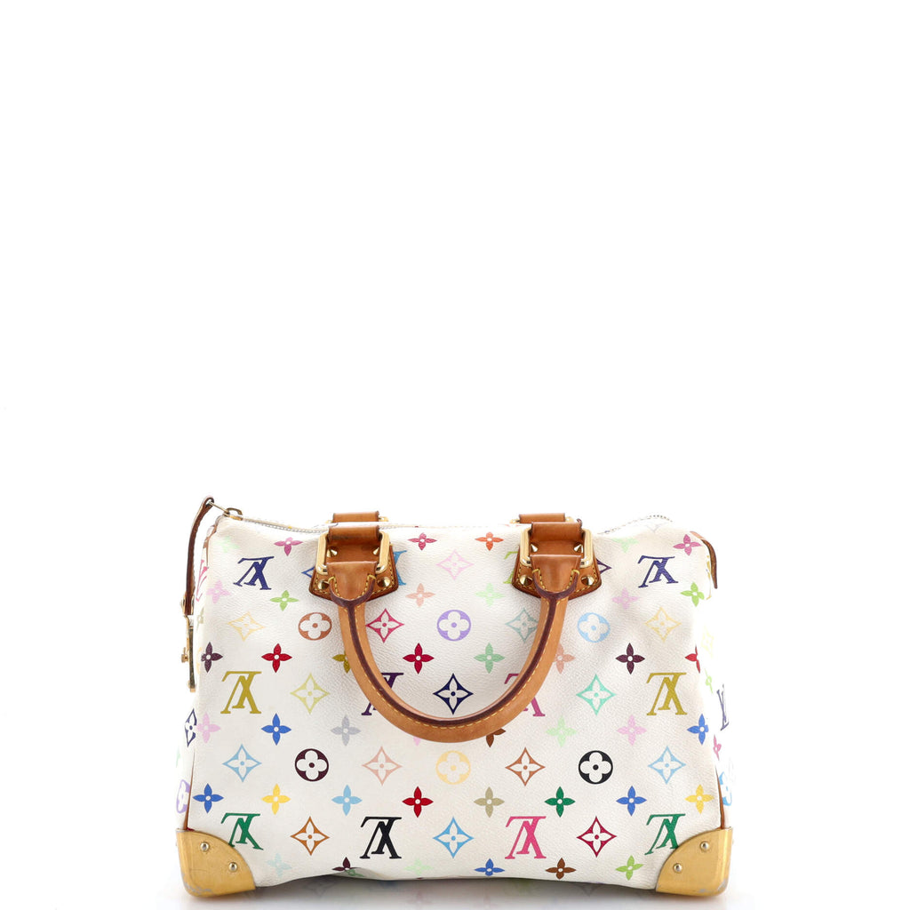 Speedy Handbag Monogram Multicolor 30