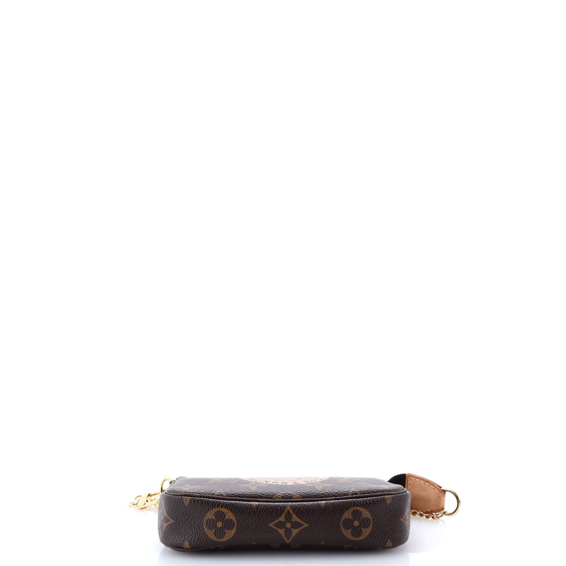 Pochette Accessoires Limited Edition Monogram Canvas Mini