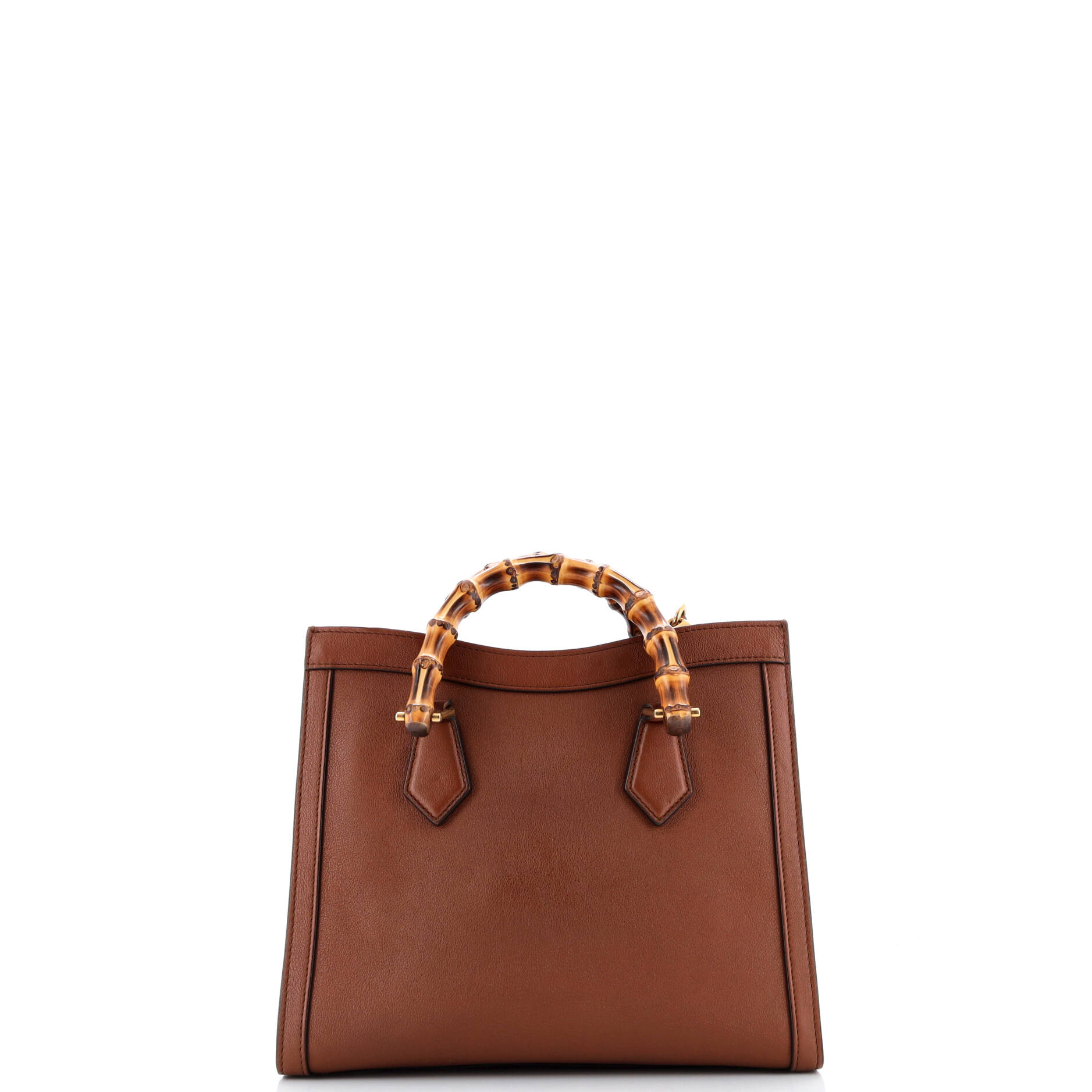 Diana NM Bamboo Handle Tote Leather Small