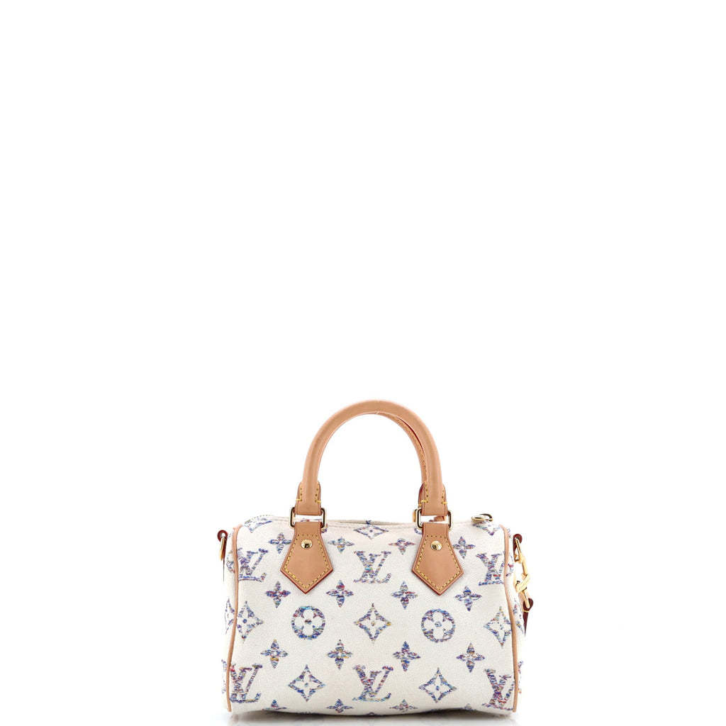 Speedy Bandouliere Bag Multicolor Monogram Jacquard 20