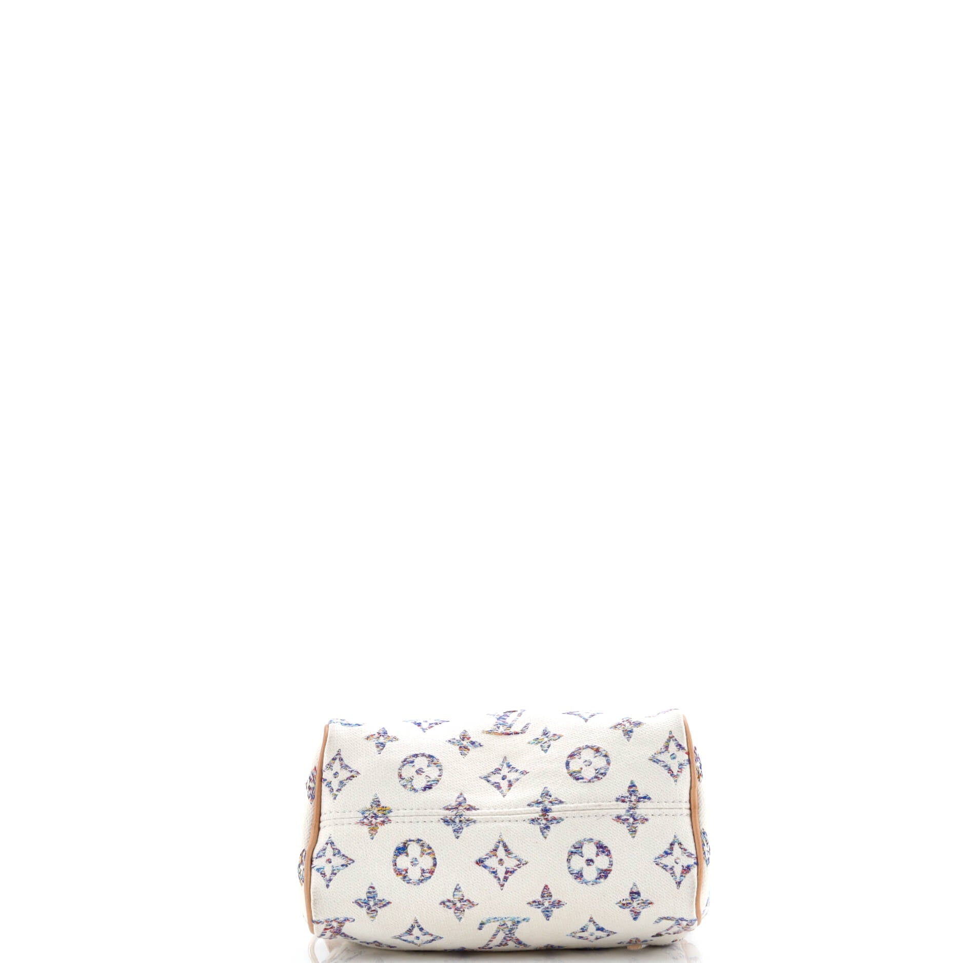 Speedy Bandouliere Bag Multicolor Monogram Jacquard 20