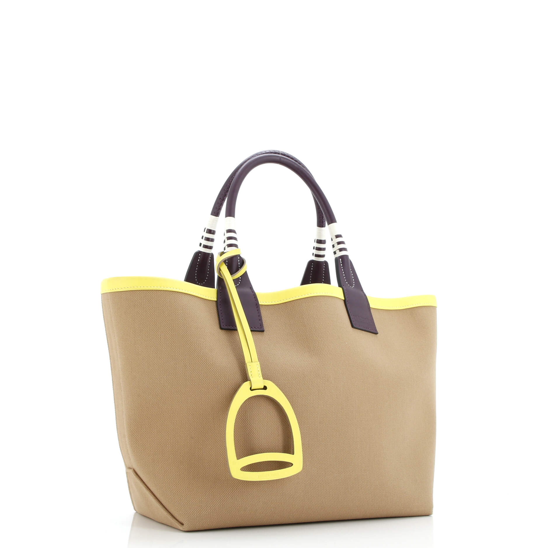 Sac Steeple Tote Toile with Leather 25