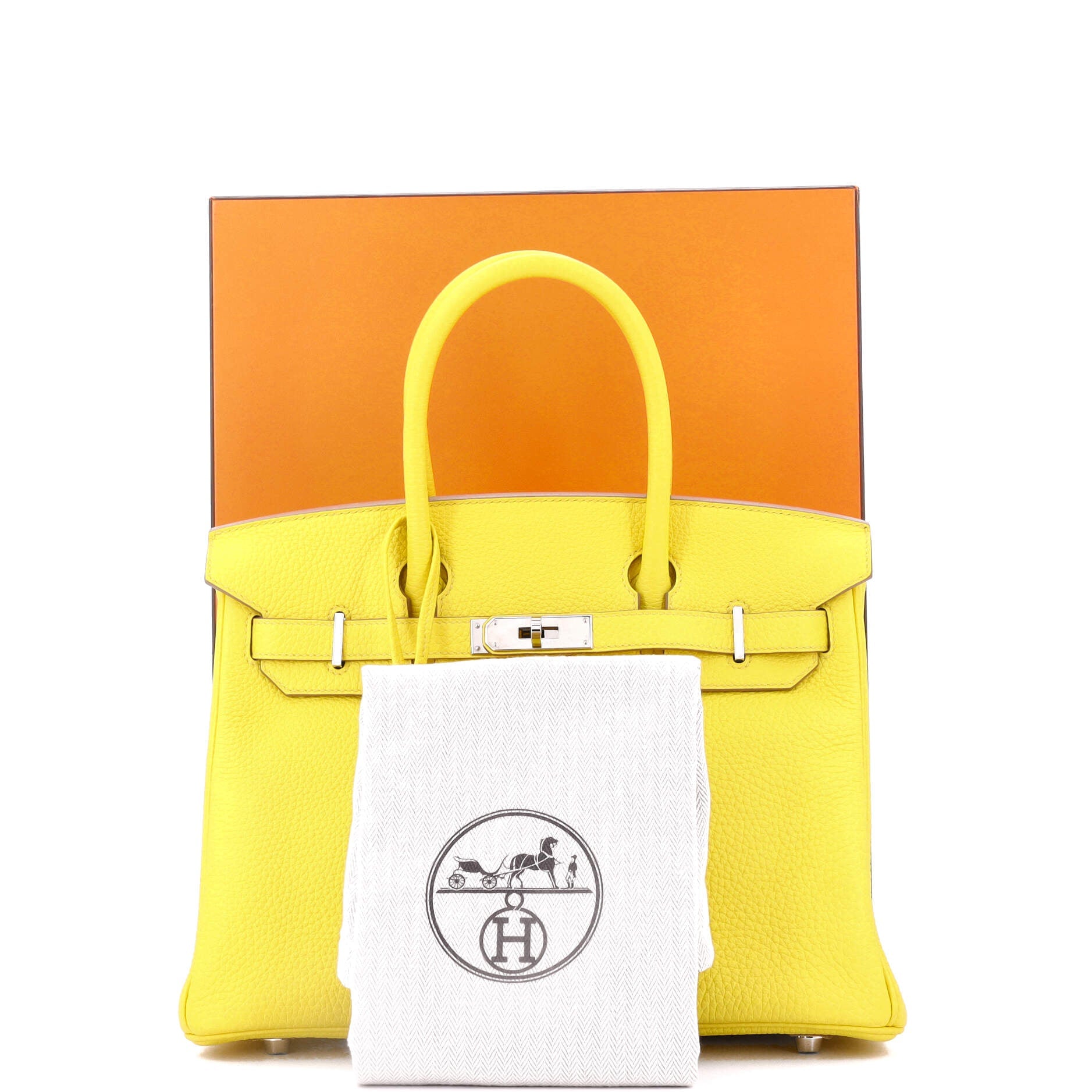 Birkin Handbag Lime Togo with Palladium Hardware 30