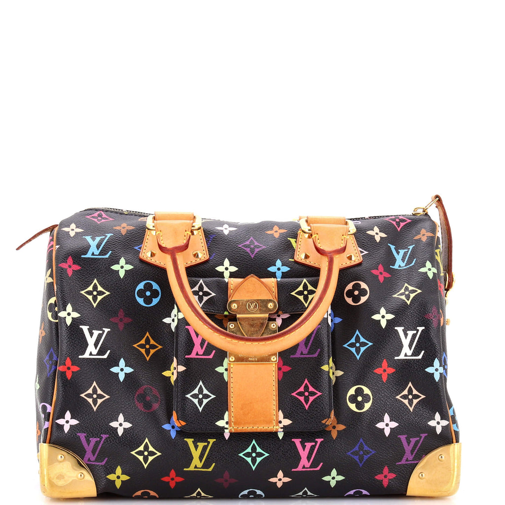 Speedy Handbag Monogram Multicolor 30