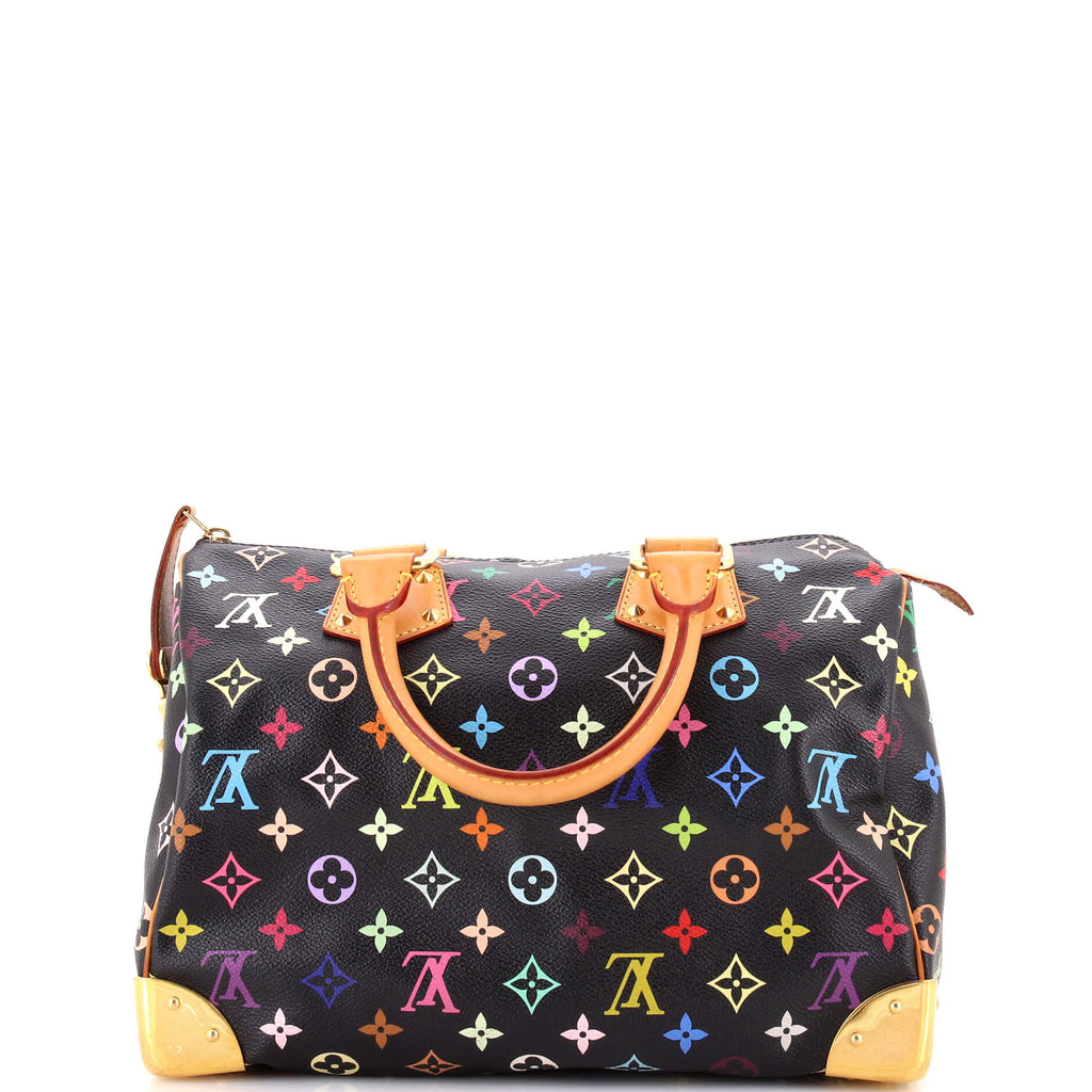 Speedy Handbag Monogram Multicolor 30