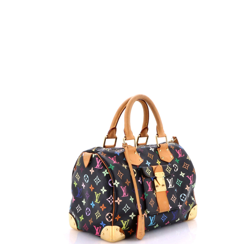 Speedy Handbag Monogram Multicolor 30