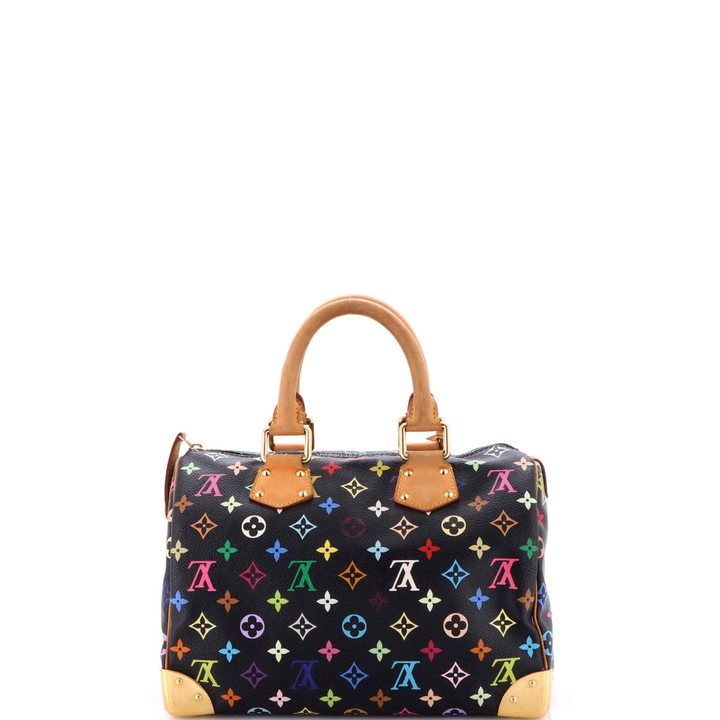 Speedy Handbag Monogram Multicolor 30