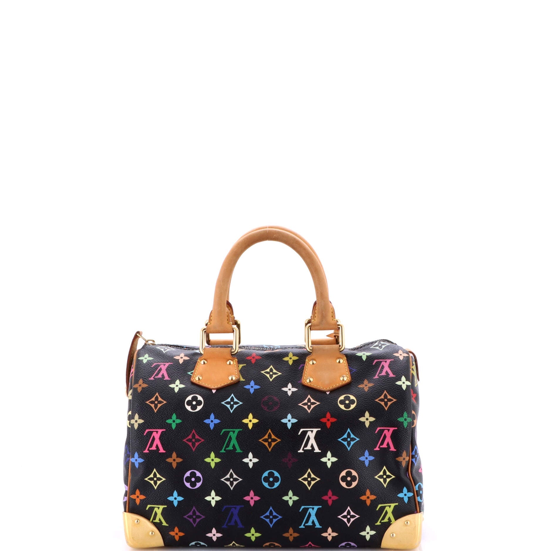 Speedy Handbag Monogram Multicolor 30
