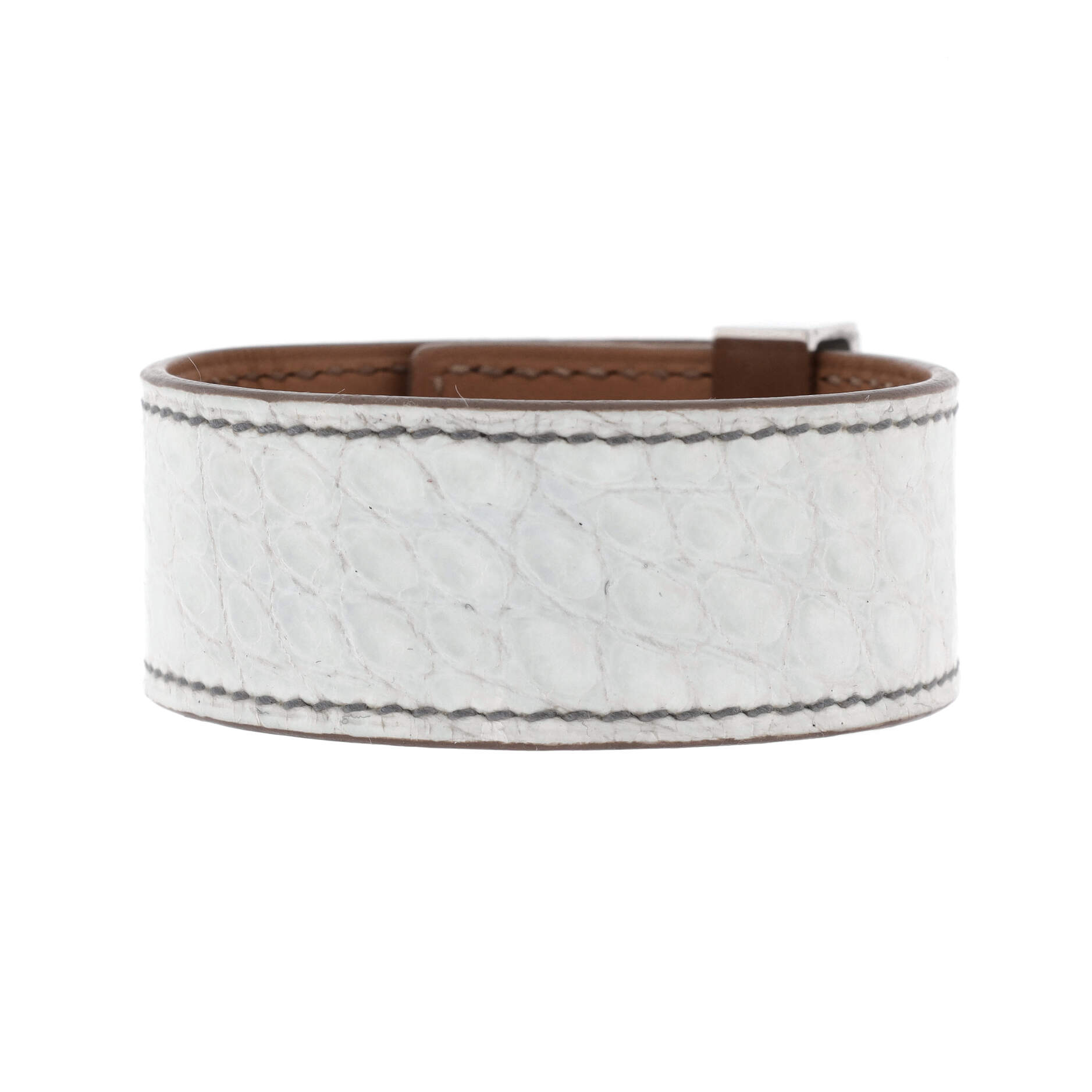 Collier de Chien 24 Bracelet Alligator