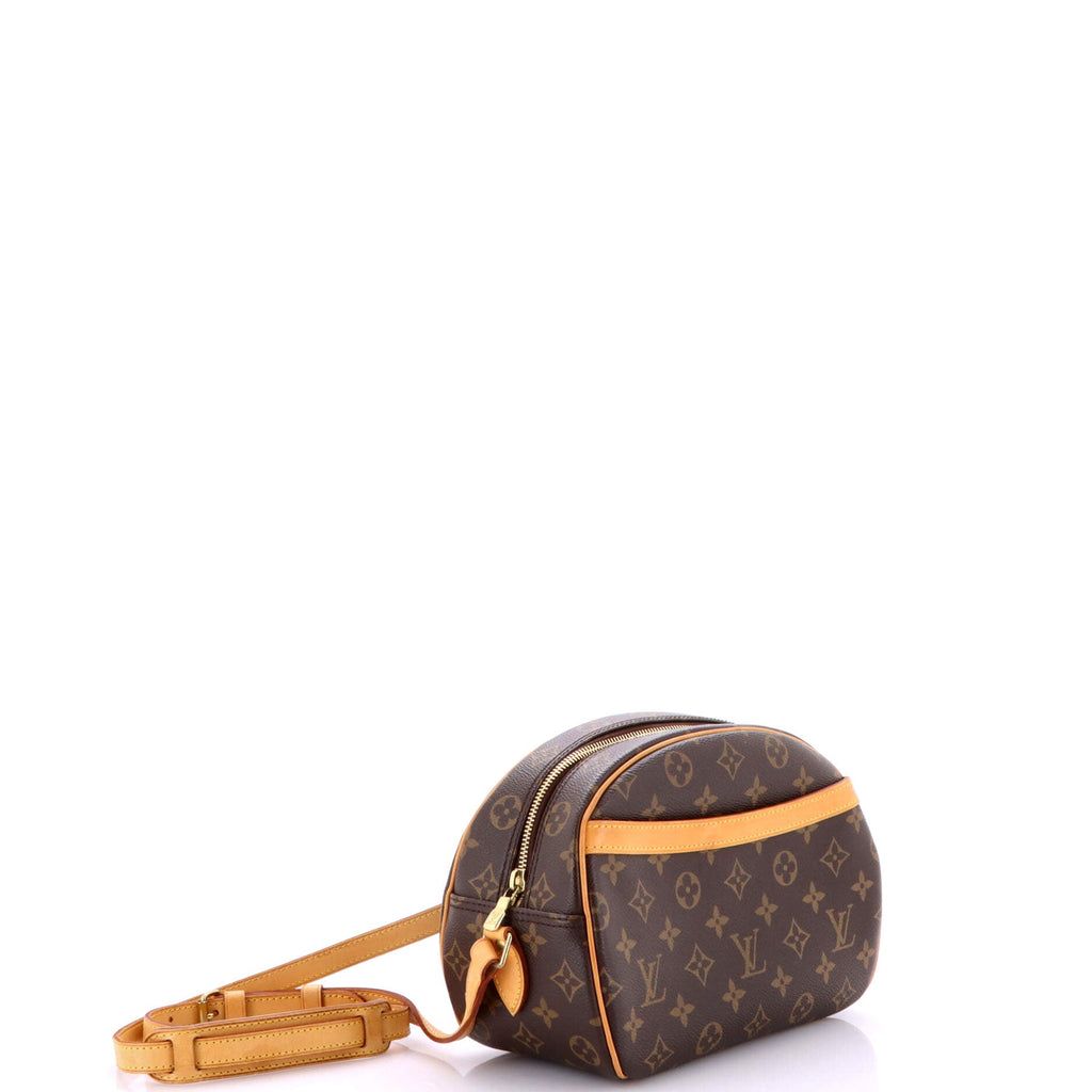 Blois Handbag Monogram Canvas