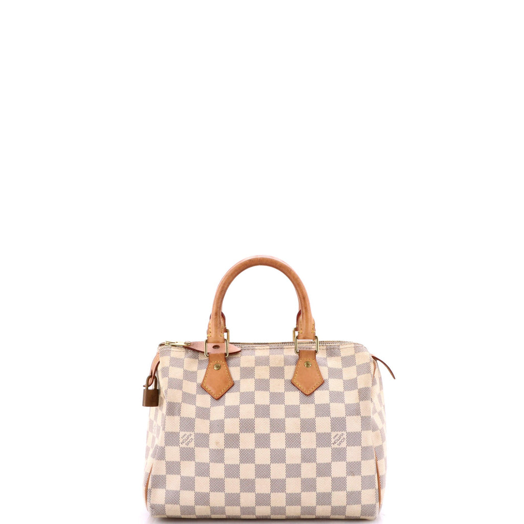 Speedy Handbag Damier 25