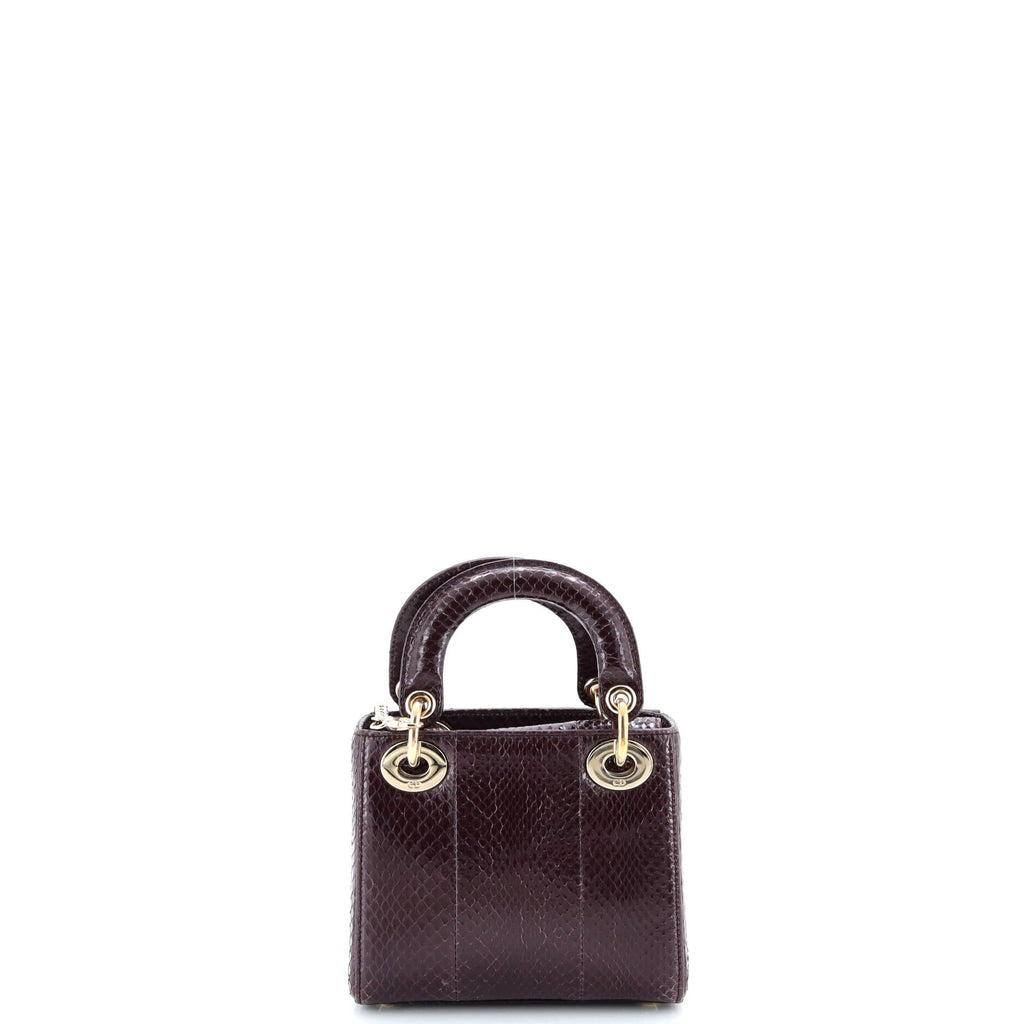 Lady Dior Chain Bag Python Mini