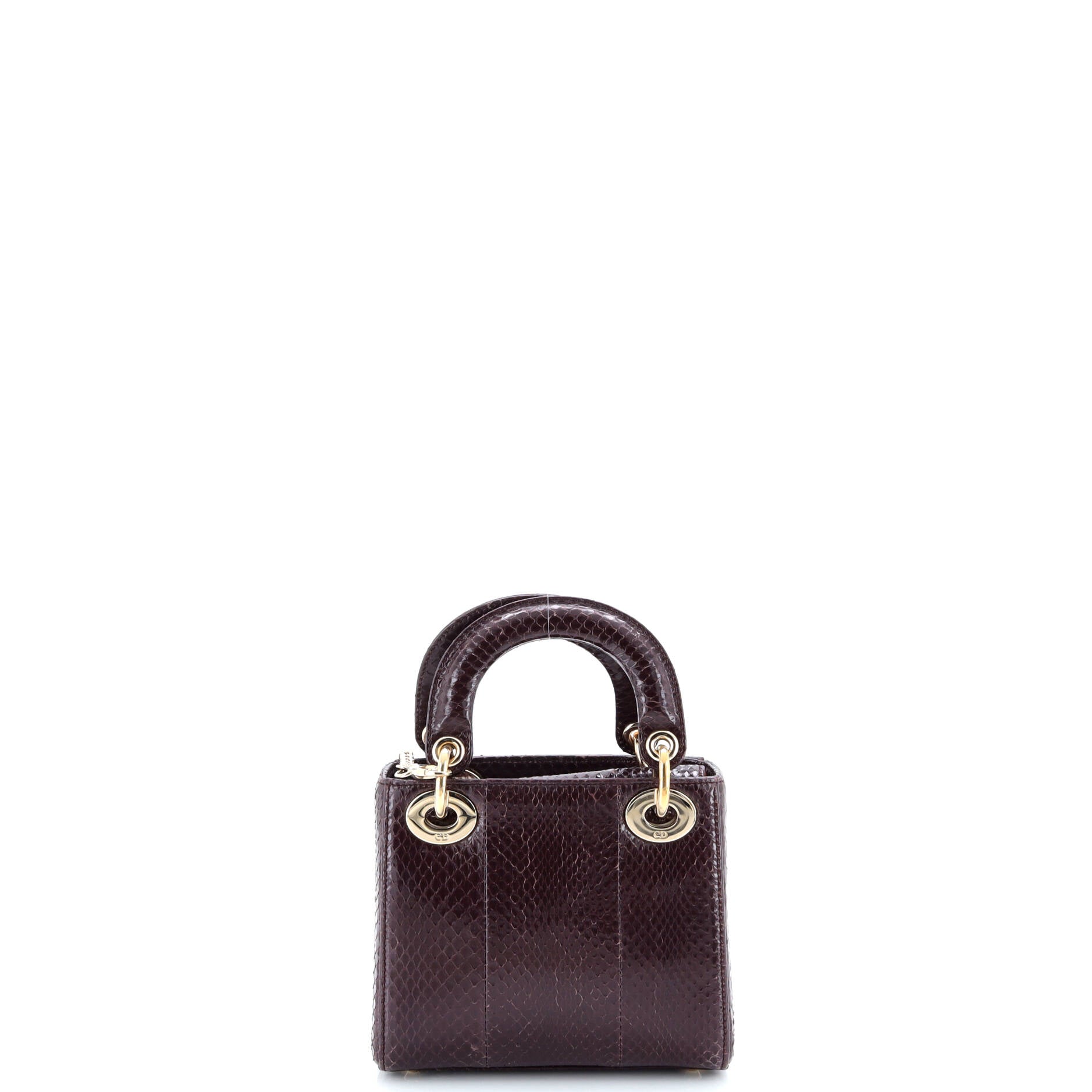 Lady Dior Chain Bag Python Mini