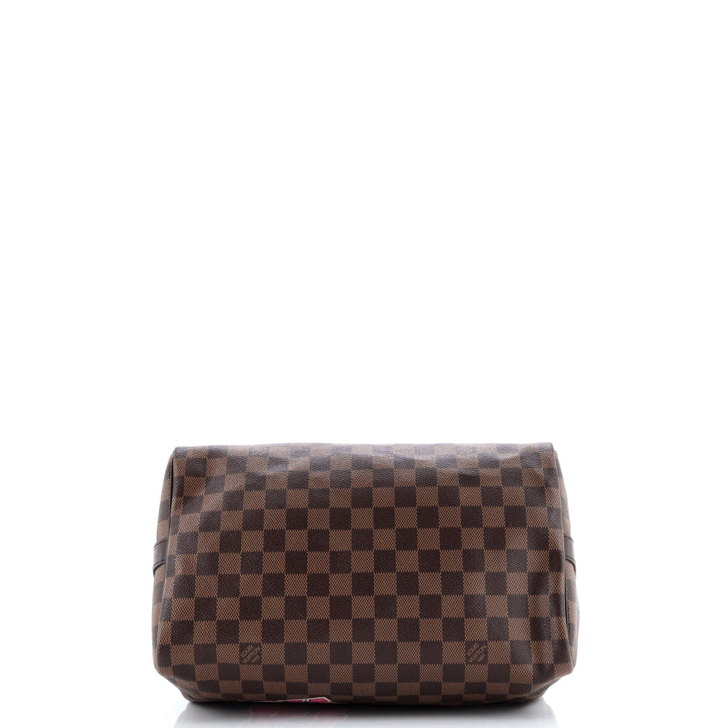 Speedy Bandouliere Bag Limited Edition Patches Damier 30