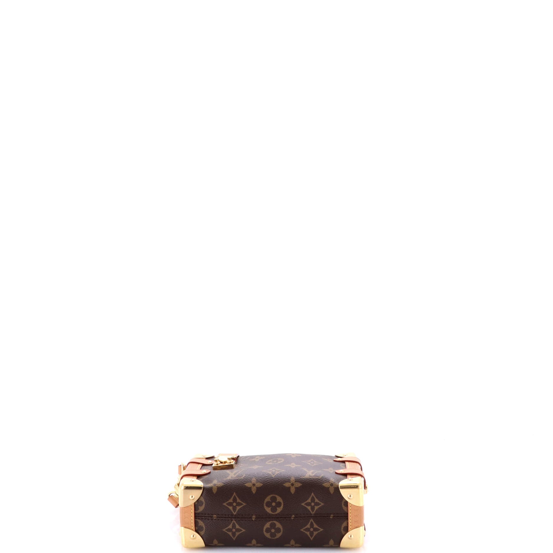 Side Trunk Handbag Monogram Canvas PM