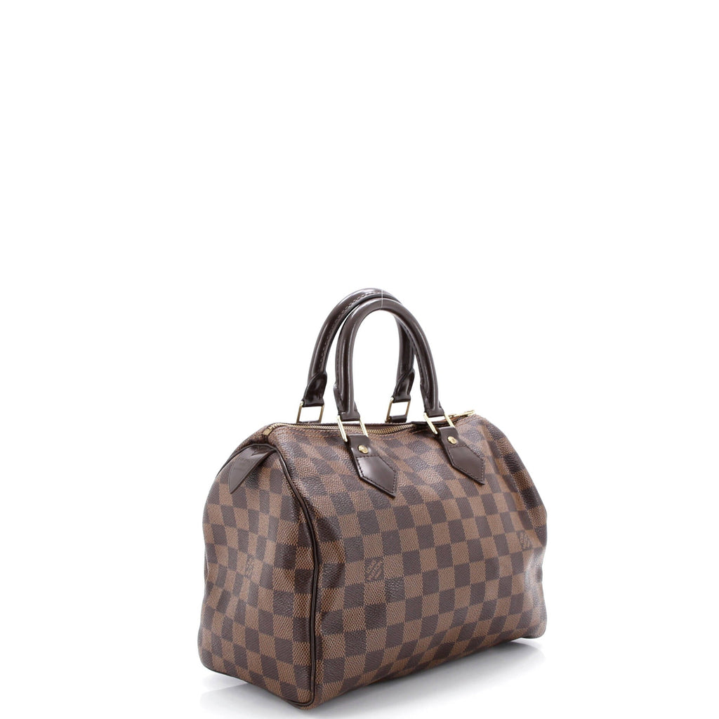 Speedy Handbag Damier 25
