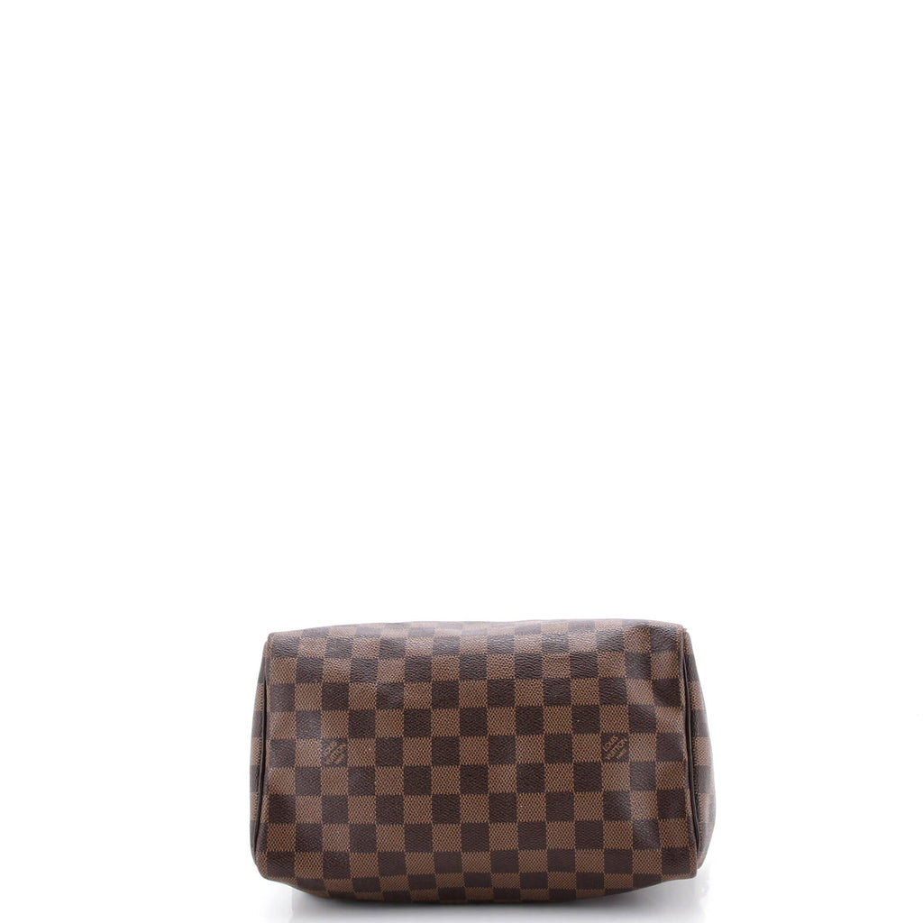 Speedy Handbag Damier 25