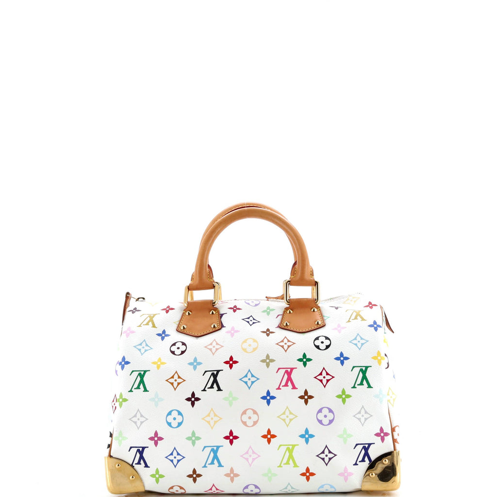 Speedy Handbag Monogram Multicolor 30