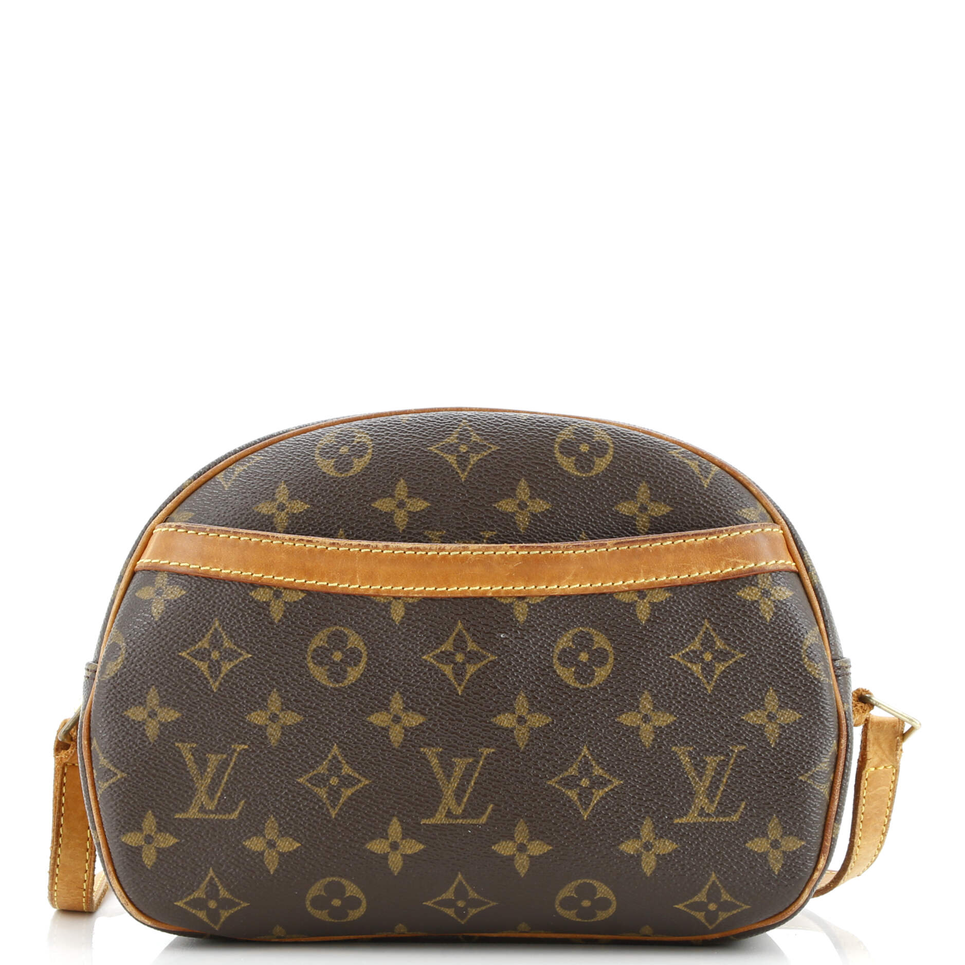 Blois Handbag Monogram Canvas