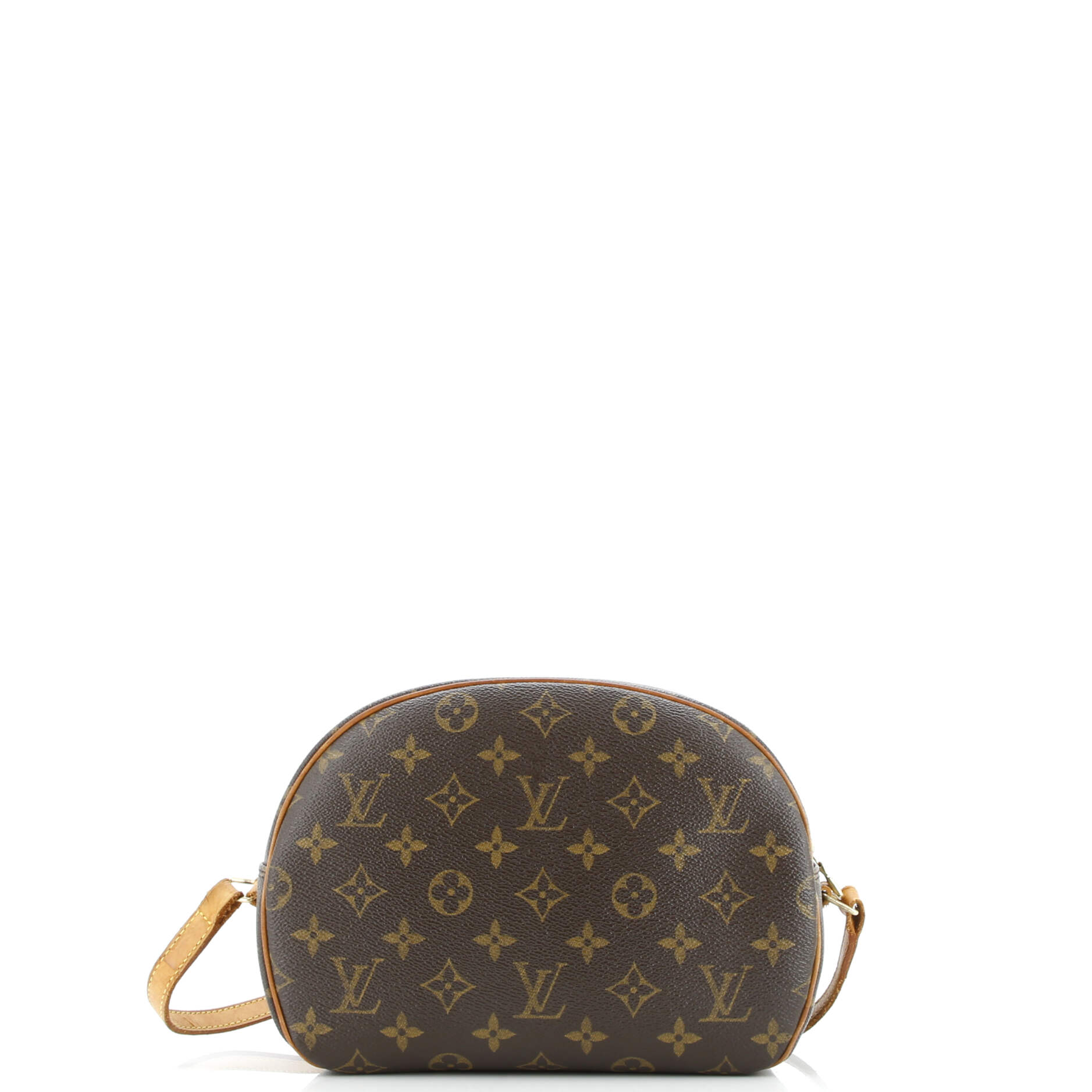 Blois Handbag Monogram Canvas