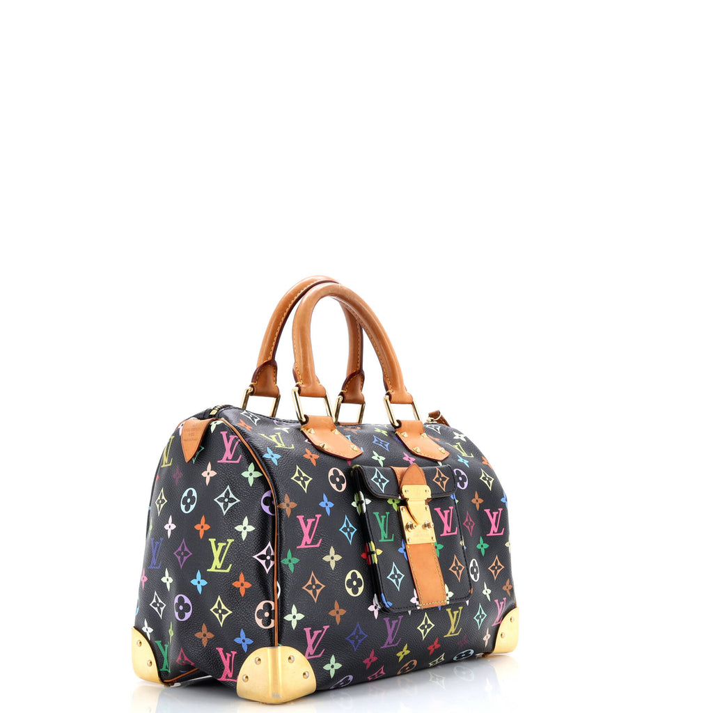 Speedy Handbag Monogram Multicolor 30