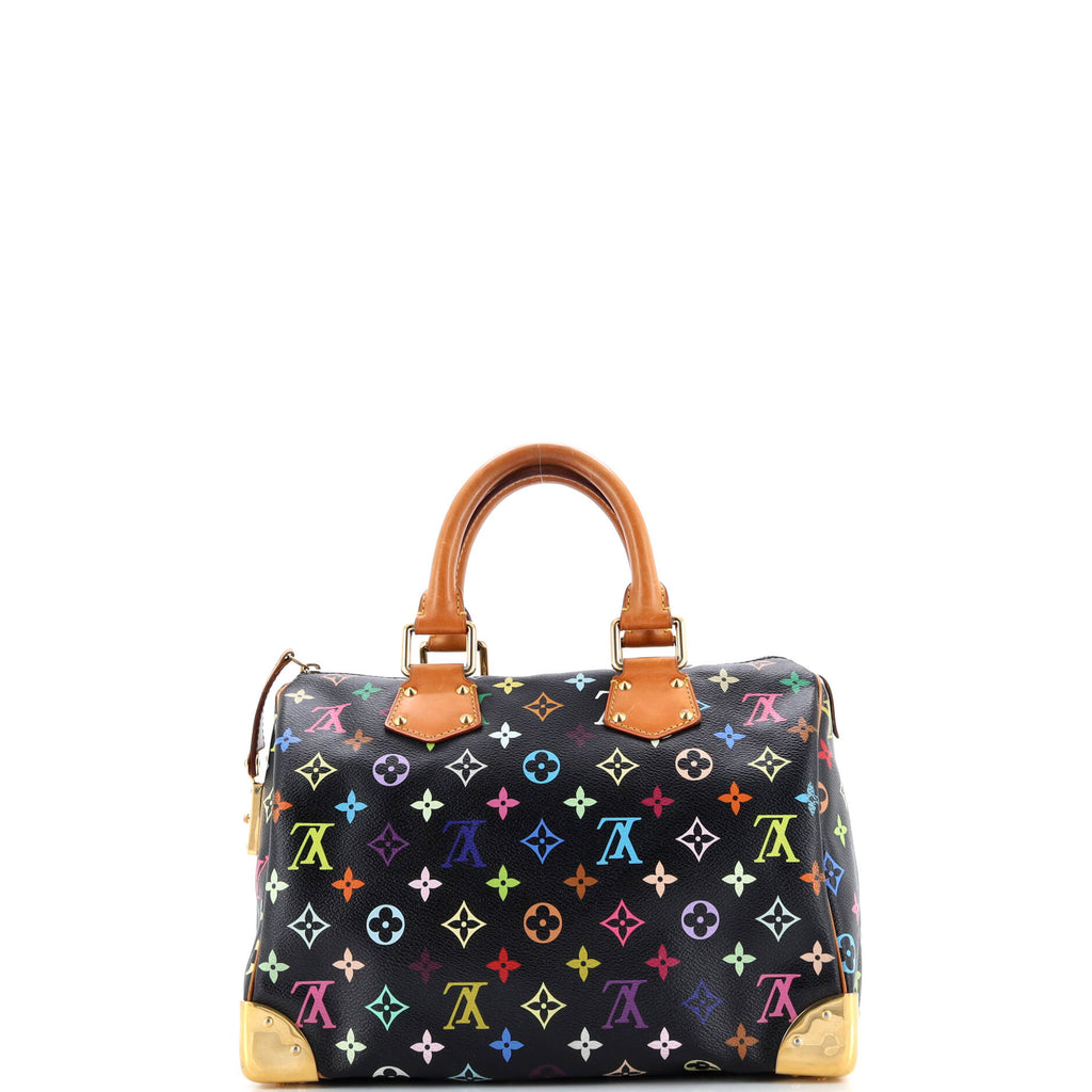 Speedy Handbag Monogram Multicolor 30