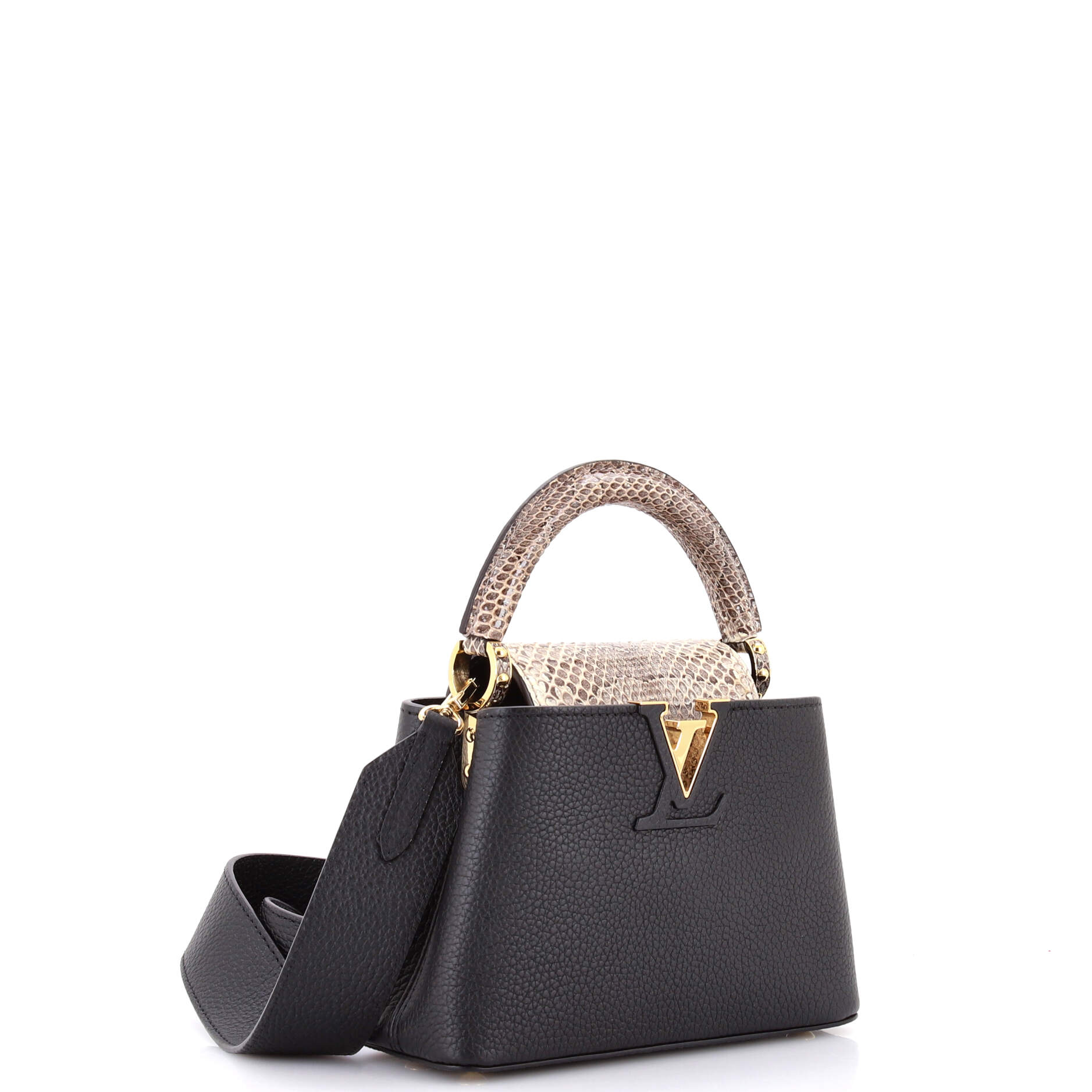 Capucines Bag Leather with Snakeskin Mini