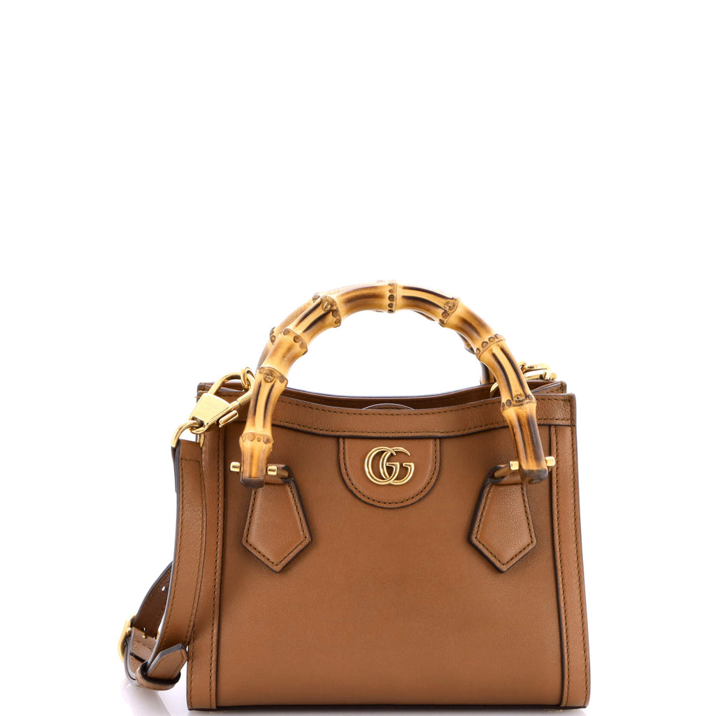 Diana NM Bamboo Handle Tote Leather Mini