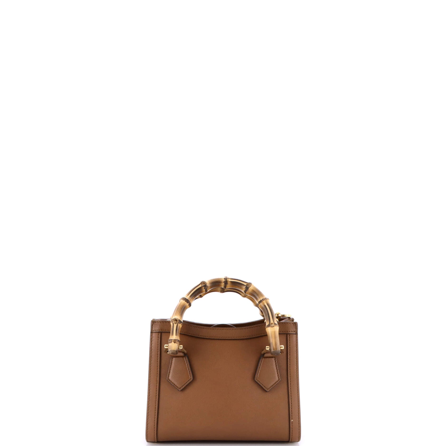Diana NM Bamboo Handle Tote Leather Mini