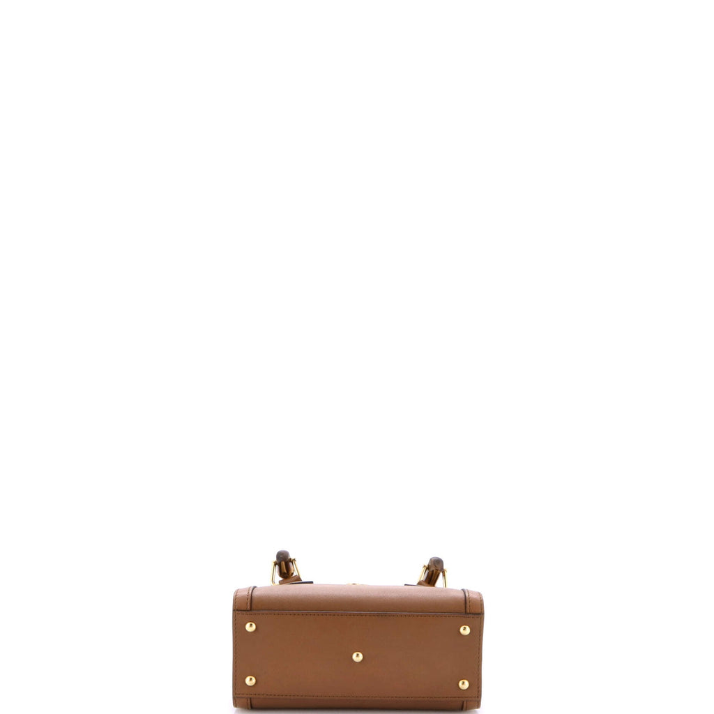 Diana NM Bamboo Handle Tote Leather Mini