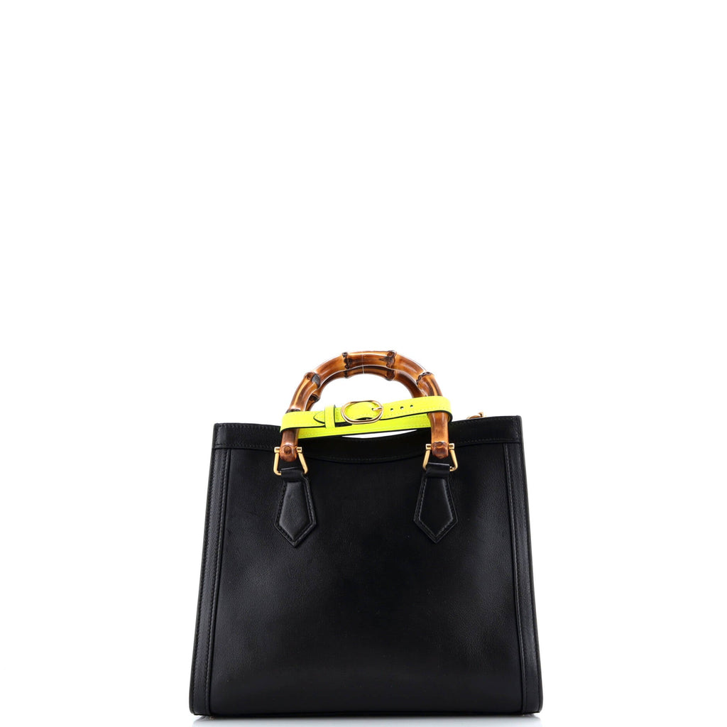 Diana NM Bamboo Handle Tote Leather Small