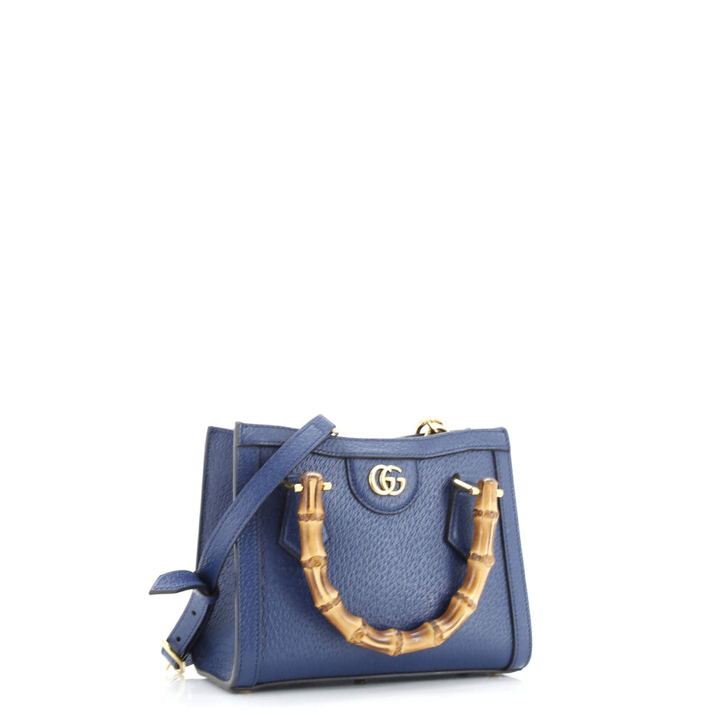 Diana NM Bamboo Handle Tote Leather Mini