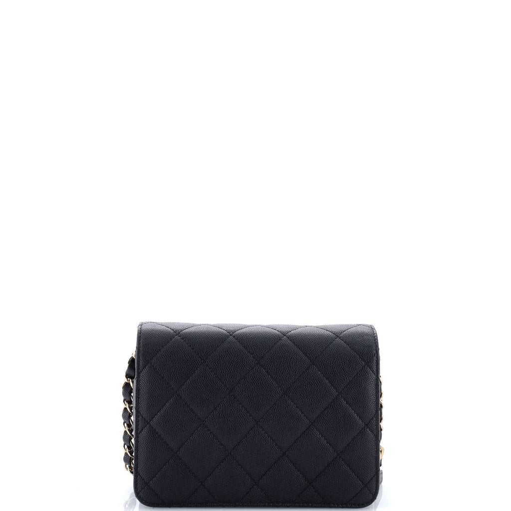 Like a Wallet Flap Bag Quilted Caviar Mini